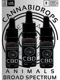 CBD kivonatok házi kedvenceinknek  (THC mentes) 